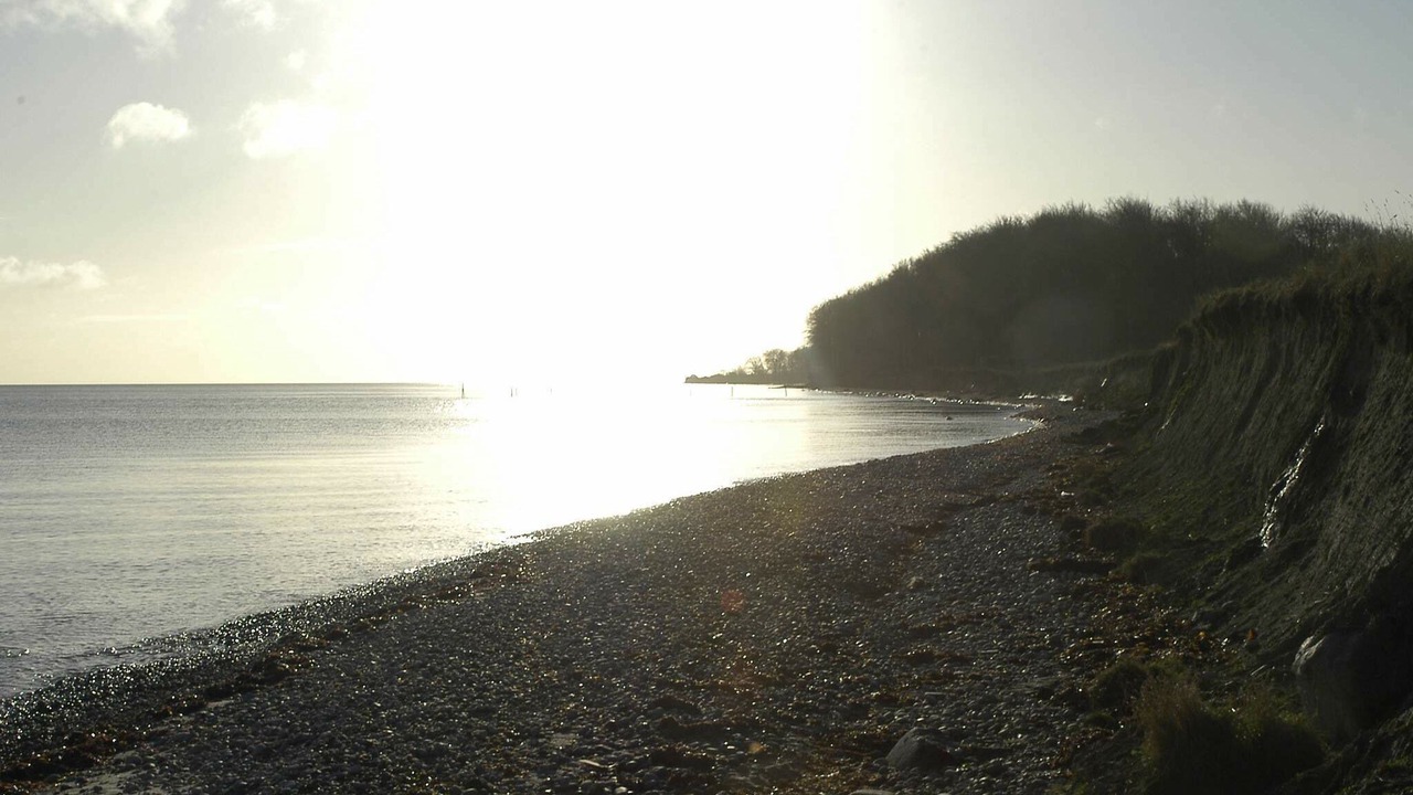 Photo of Others in Østerskov