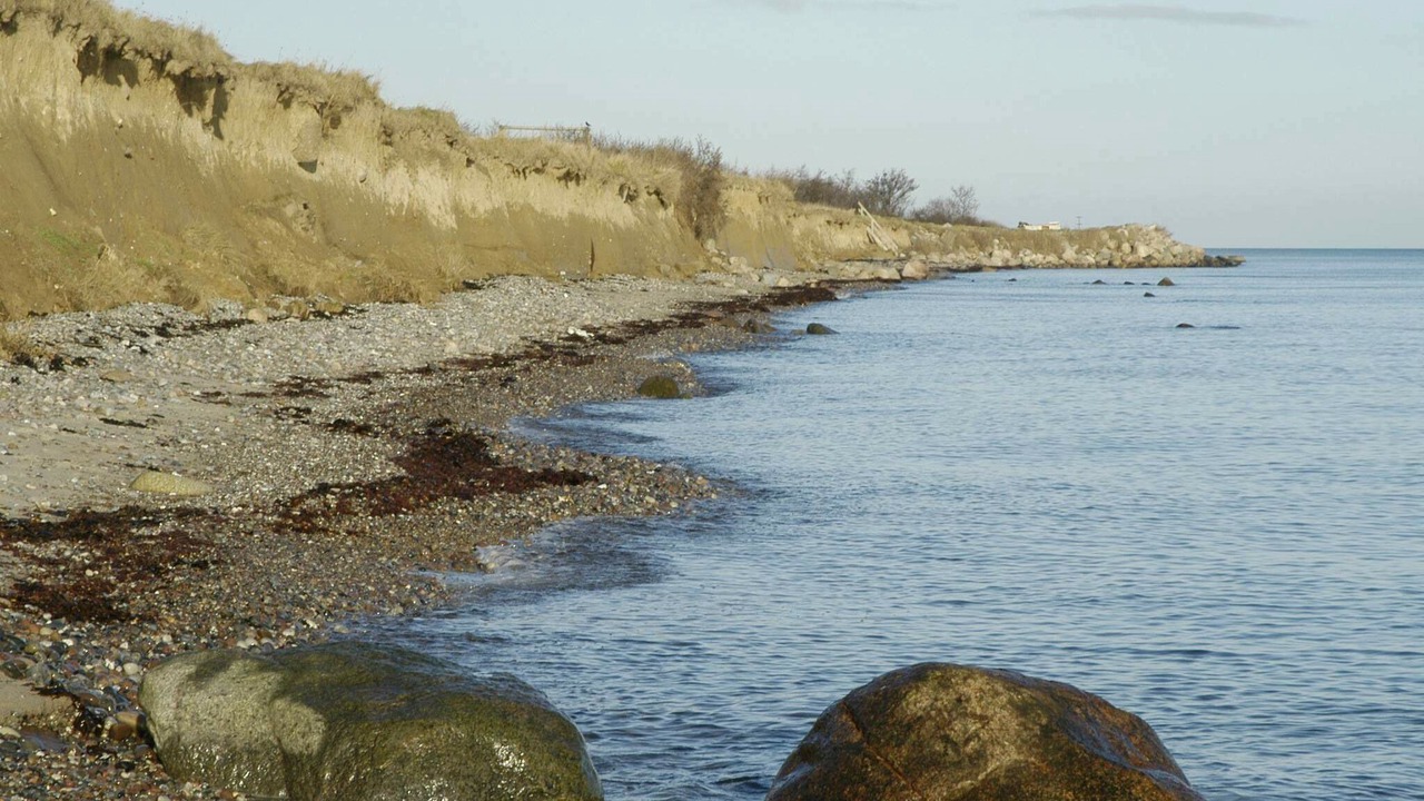 Photo of Others in Østerskov