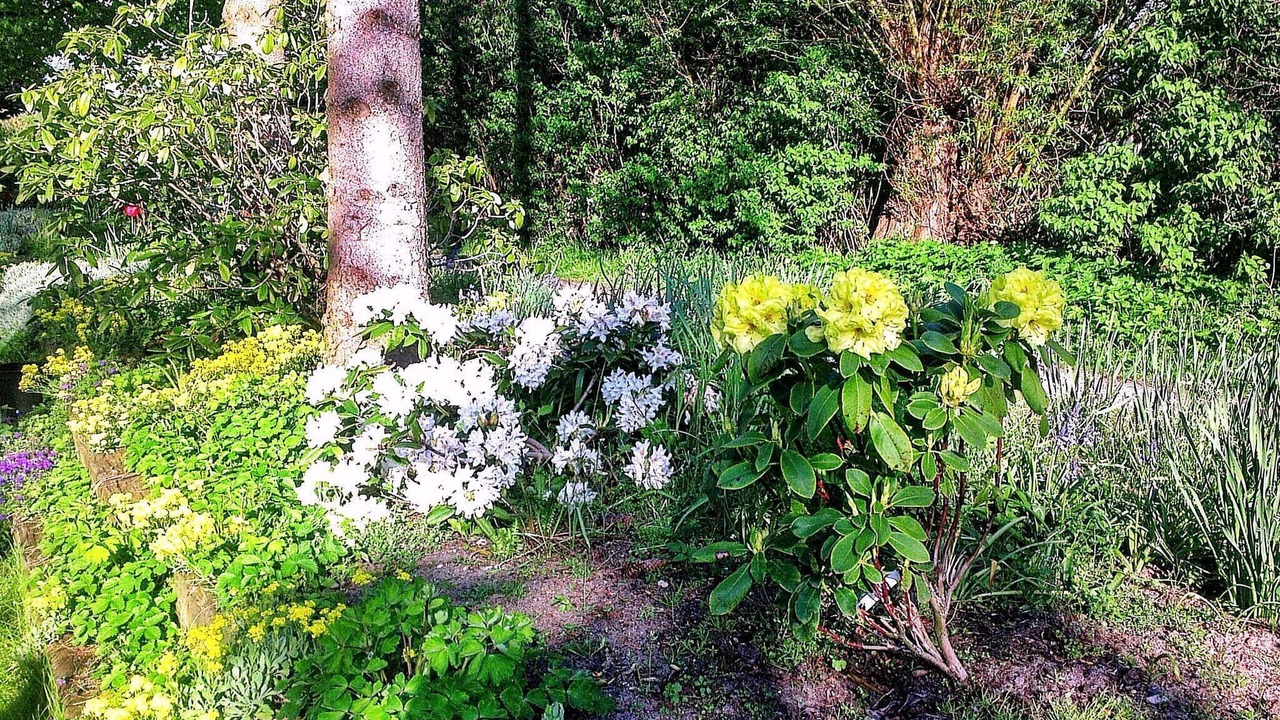 Photo of Outdoor in Vejlby Fed
