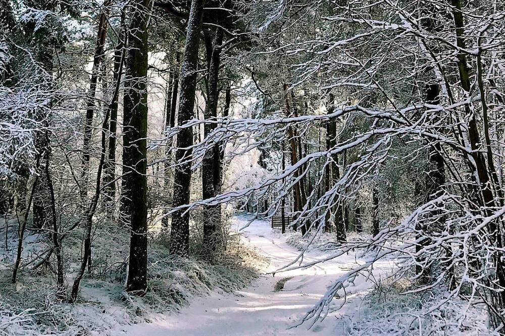Photo of Outdoor in Boderne