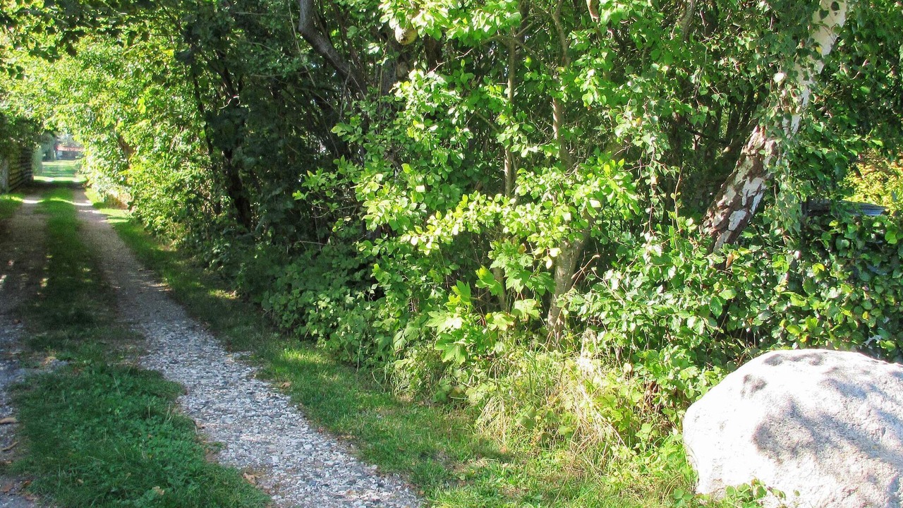Photo of Outdoor in Dannemare