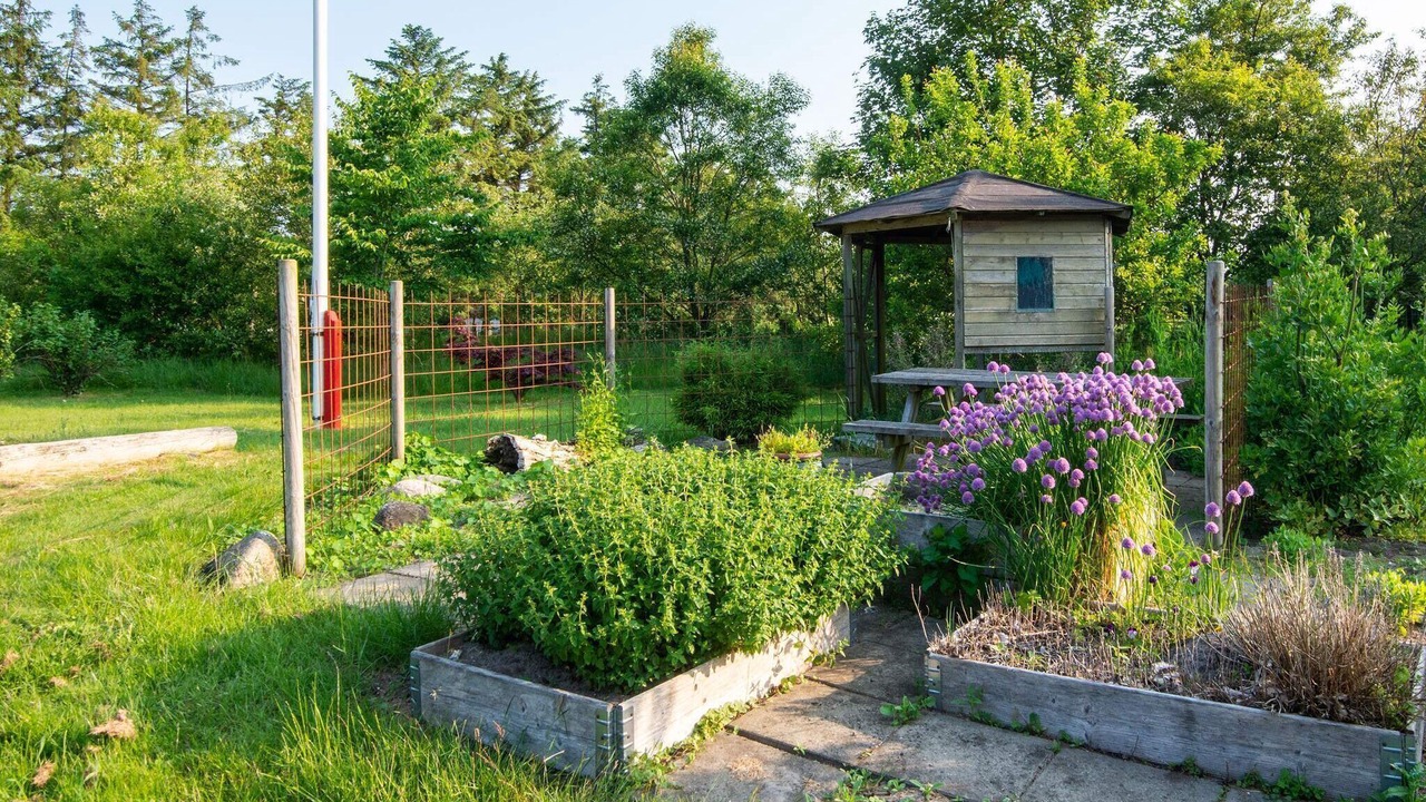 Photo of Outdoor in Tim