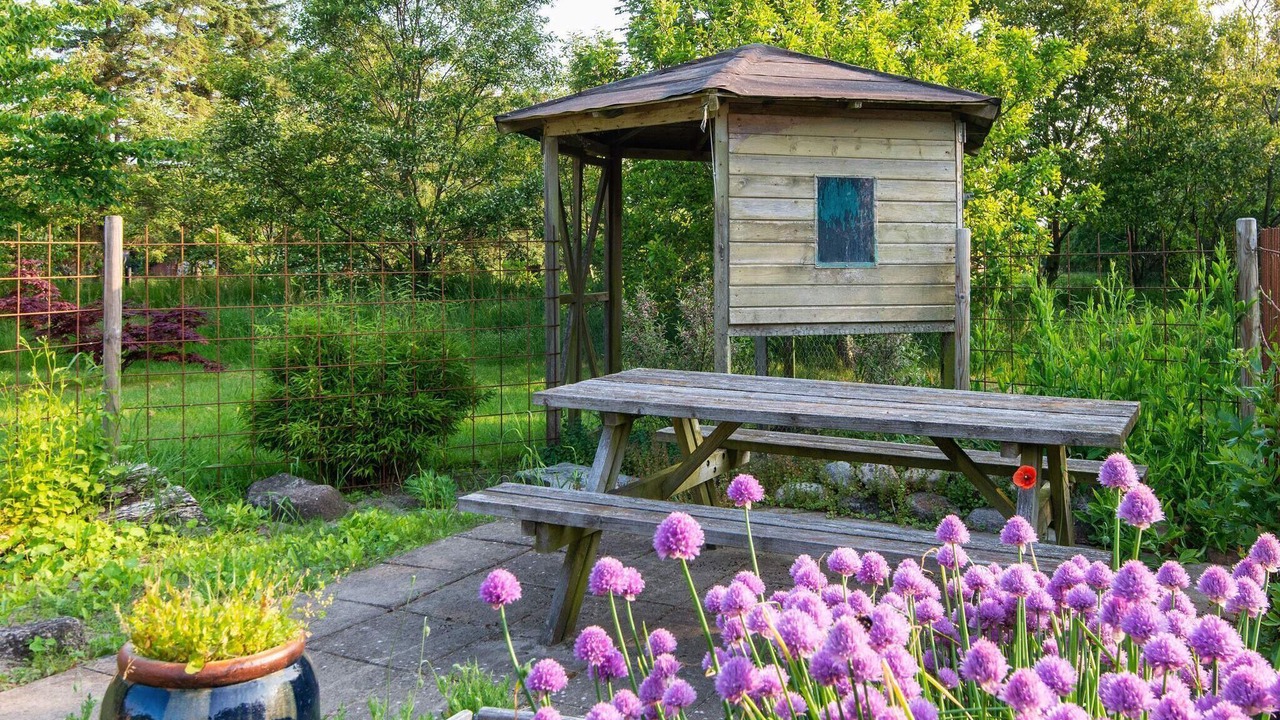 Photo of Outdoor in Tim