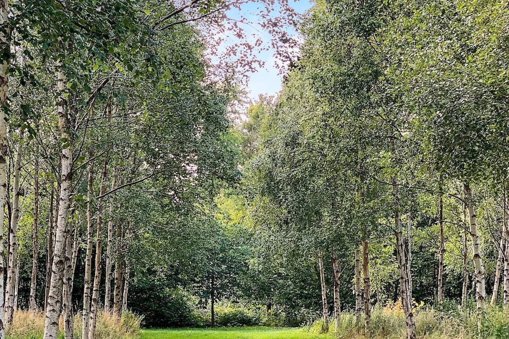 Photo of Outdoor in Aars