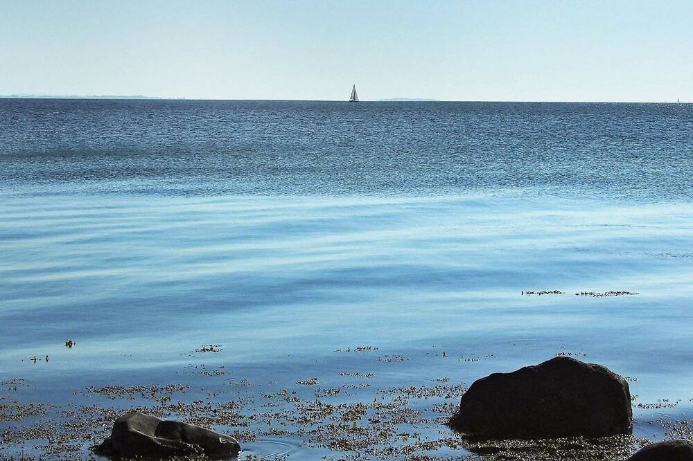 Photo of Others in Kettingskov