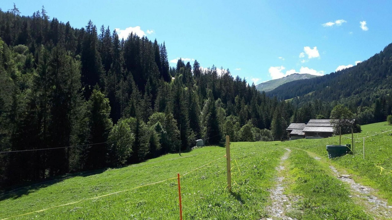 Photo of Outdoor in Gsteig