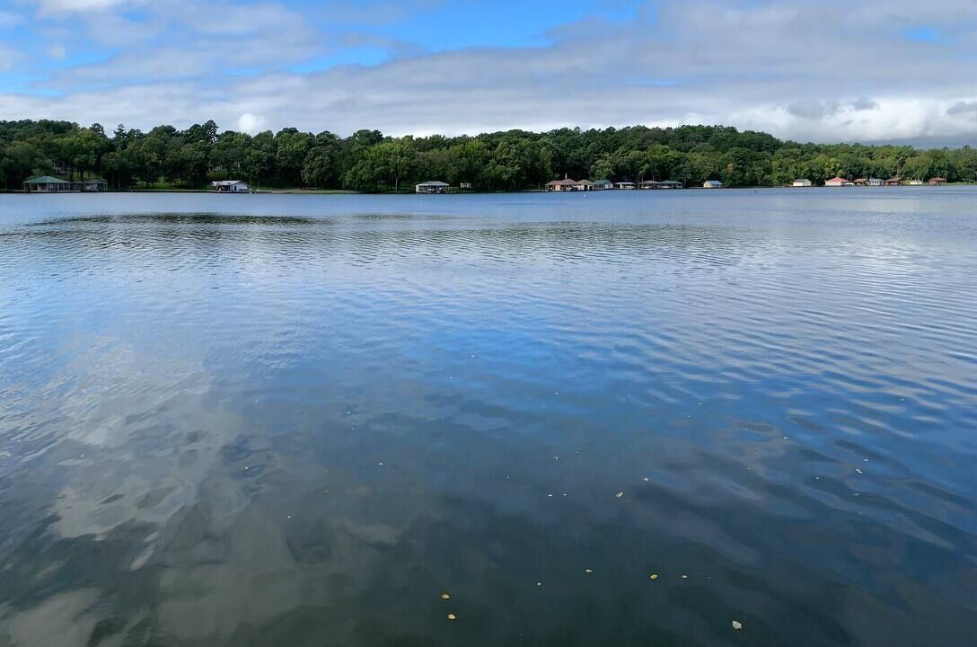 Photo of Others in Smith County