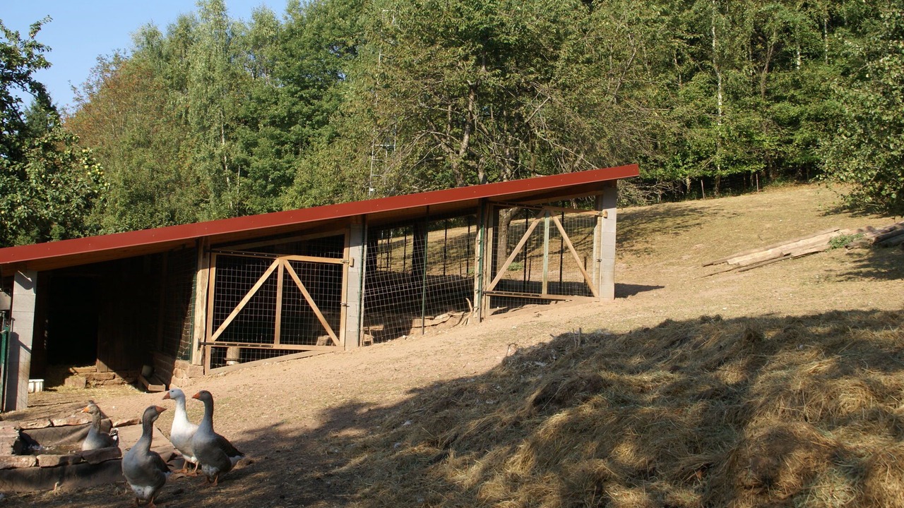 Photo of Outdoor in Dabo