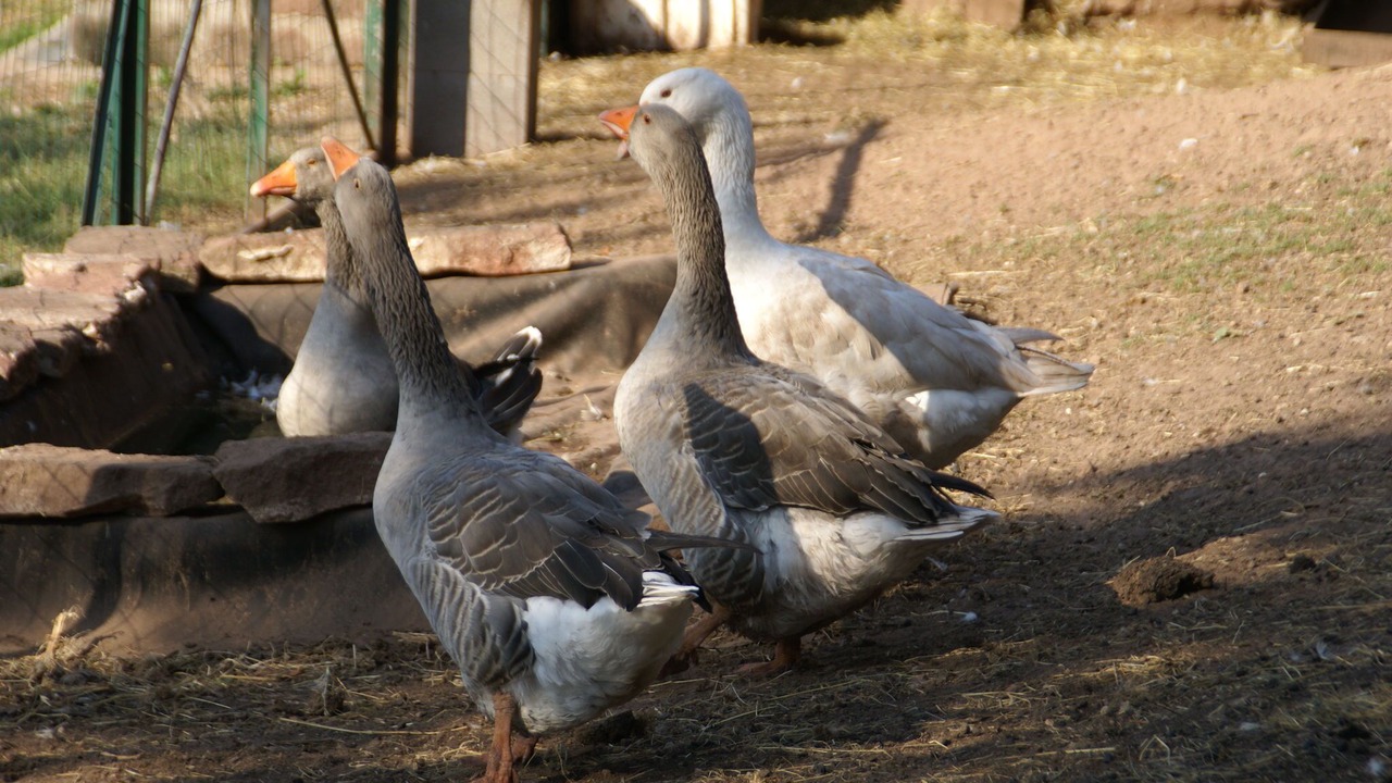 Photo of Outdoor in Dabo