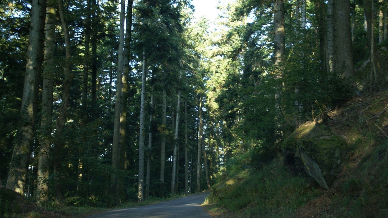 Photo of Outdoor in Dabo