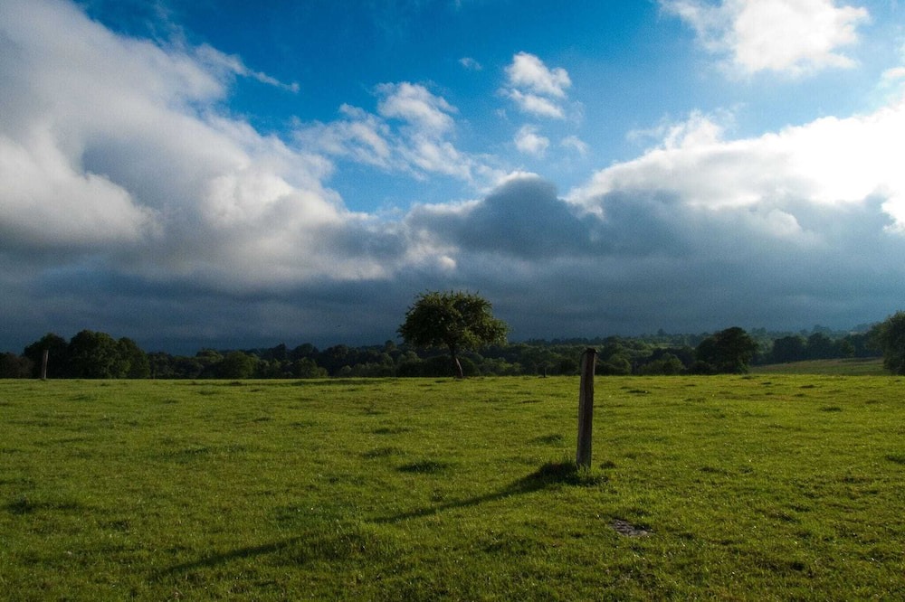 Photo of Others in Ceauce