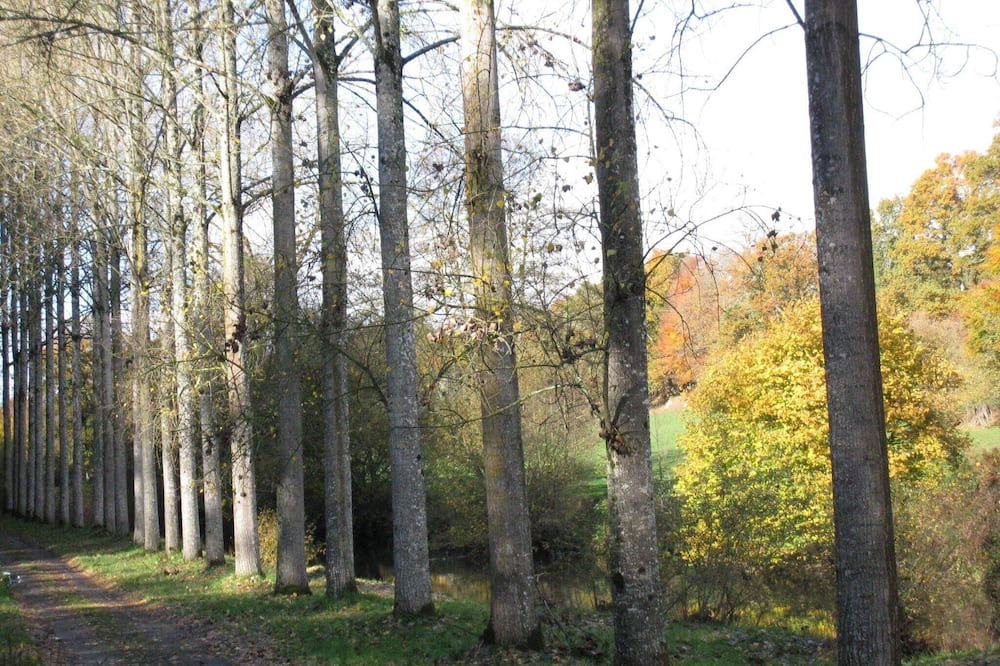 Photo of Others in Ceauce