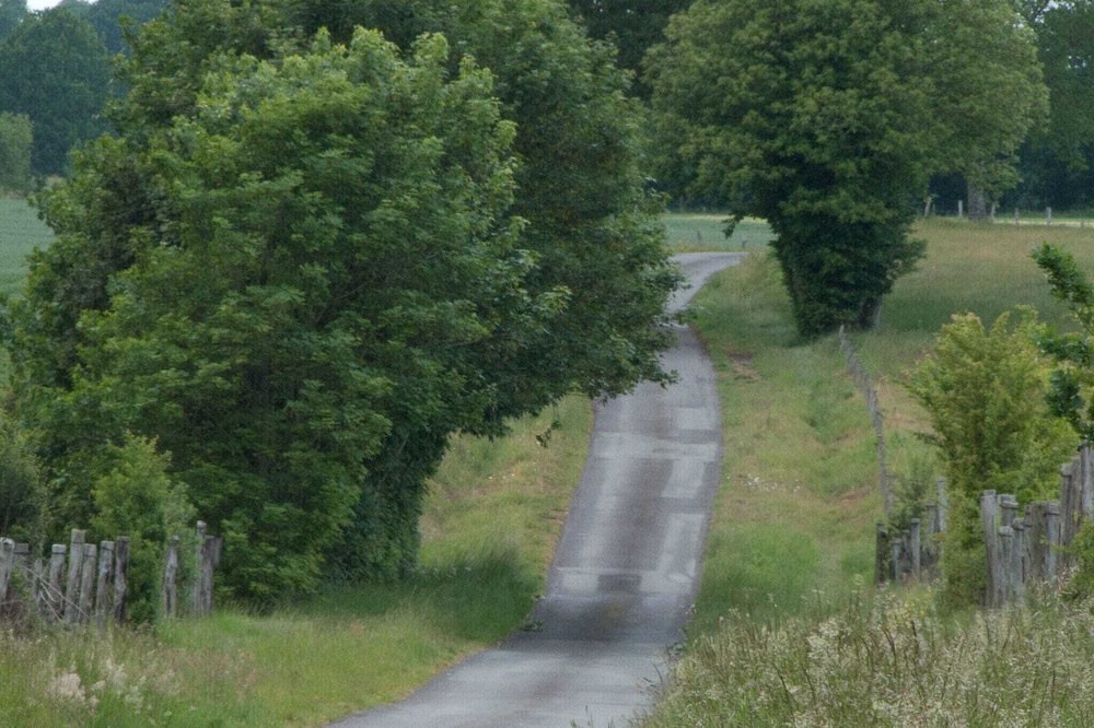 Photo of Others in Ceauce