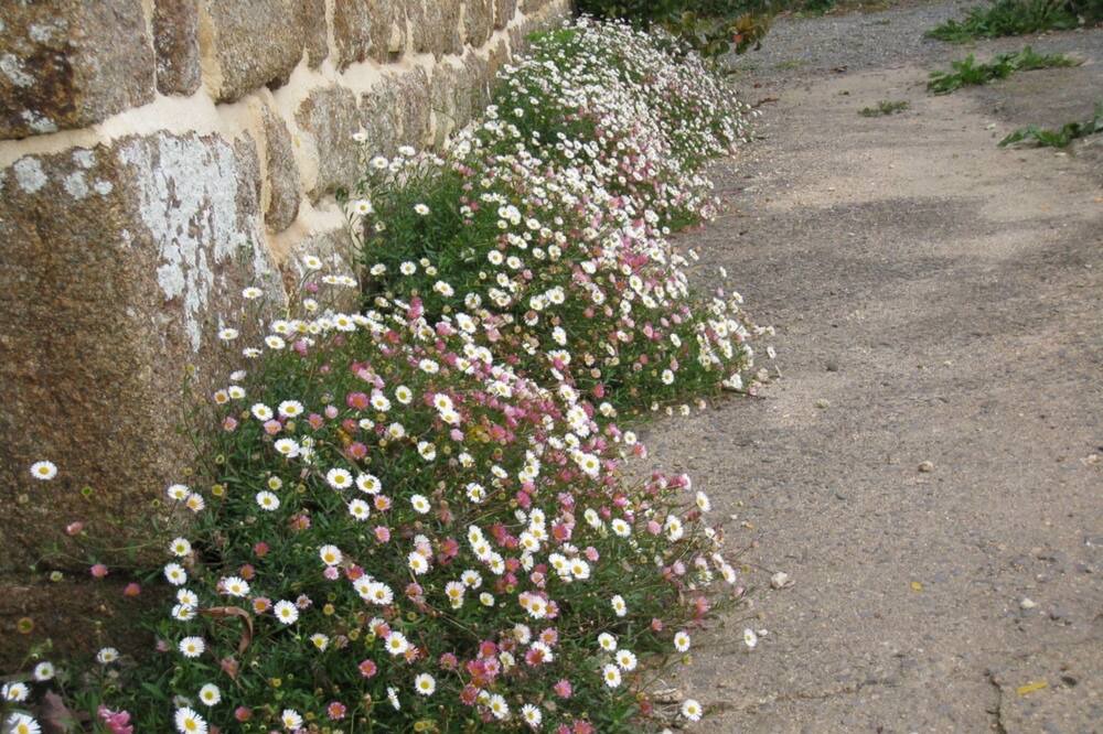 Photo of Others in Ceauce