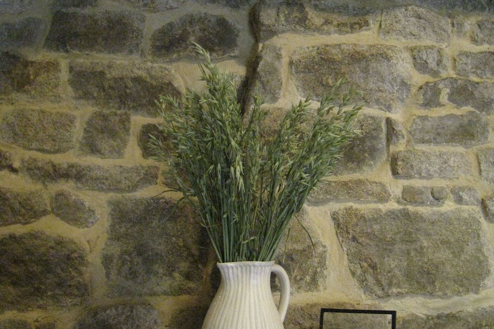 Photo of Others in Ceauce