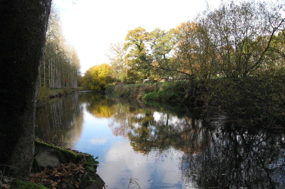 Photo of Others in Ceauce