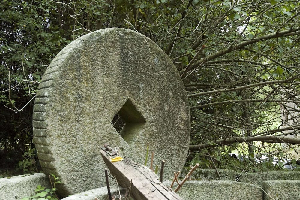 Photo of Others in Ceauce