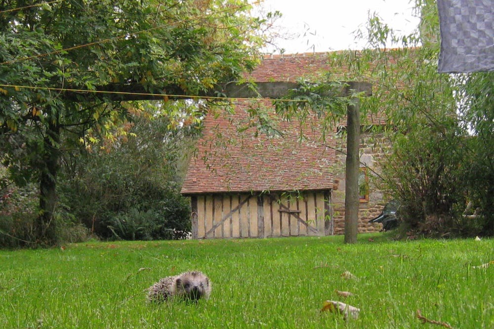 Photo of Others in Ceauce