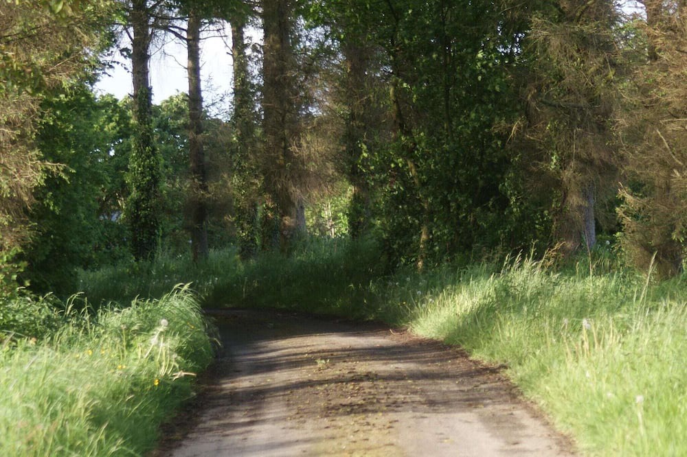 Photo of Others in Ceauce