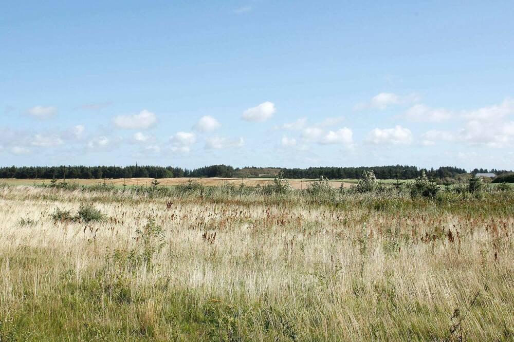 Photo of Others in Nr. Lyngby