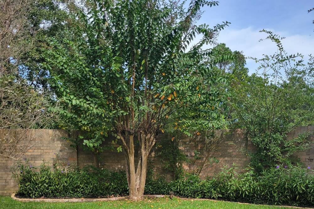 Photo of Outdoor in Atascocita