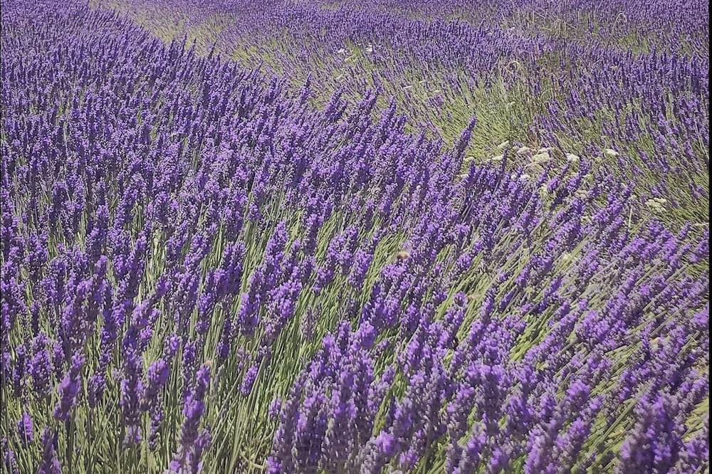 Photo of Outdoor in Le Poet-Laval