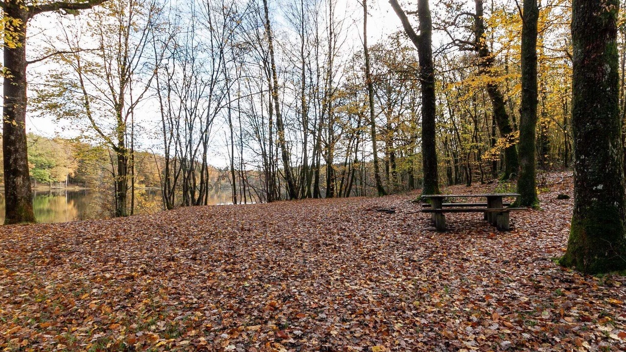 Photo of Outdoor in Signy-le-Petit