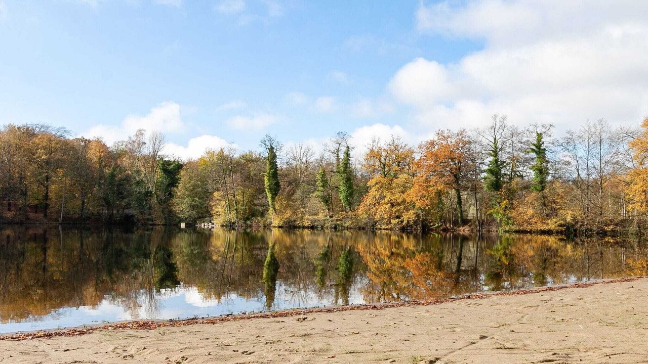 Photo of Others in Signy-le-Petit