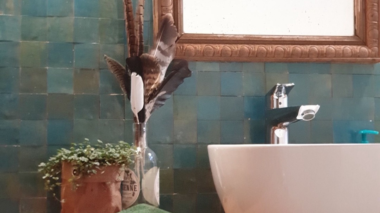 Photo of Bathroom in Themericourt