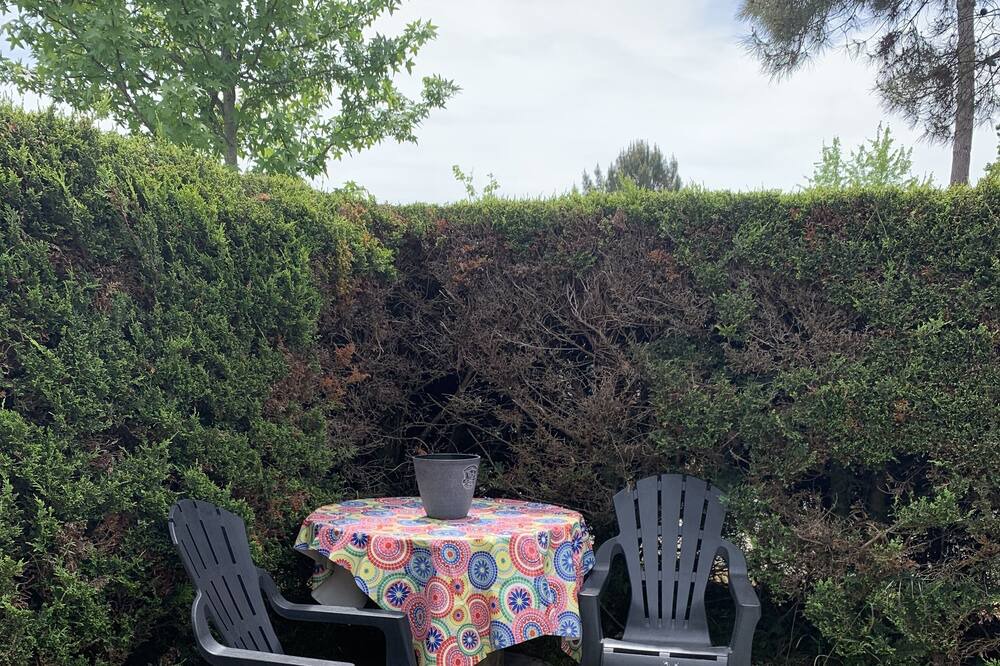 Photo of Outdoor in Cote Landaise