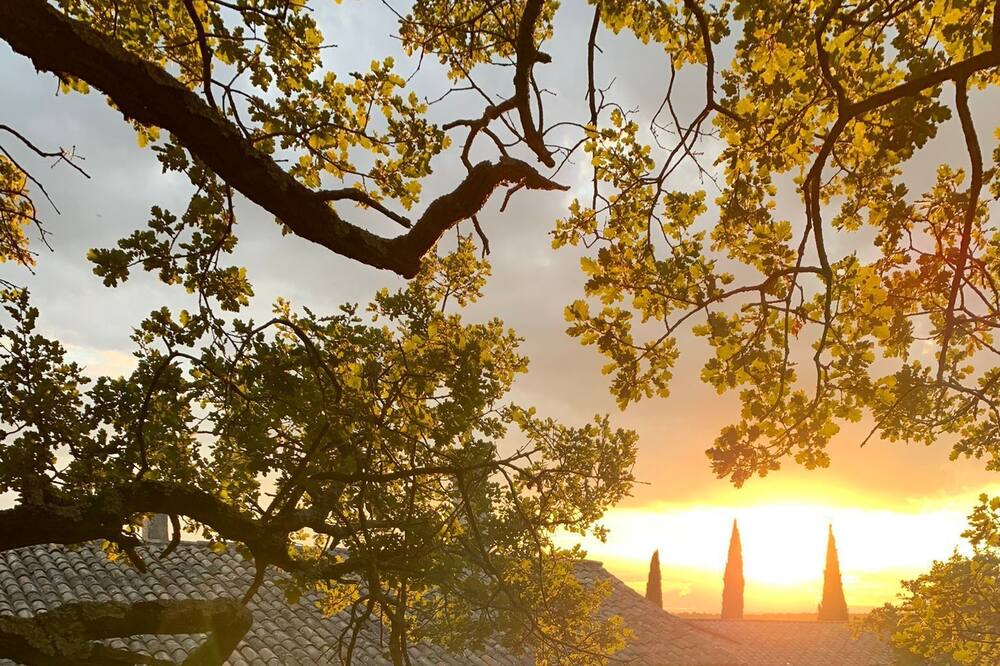 Photo of Outdoor in Montjoyer