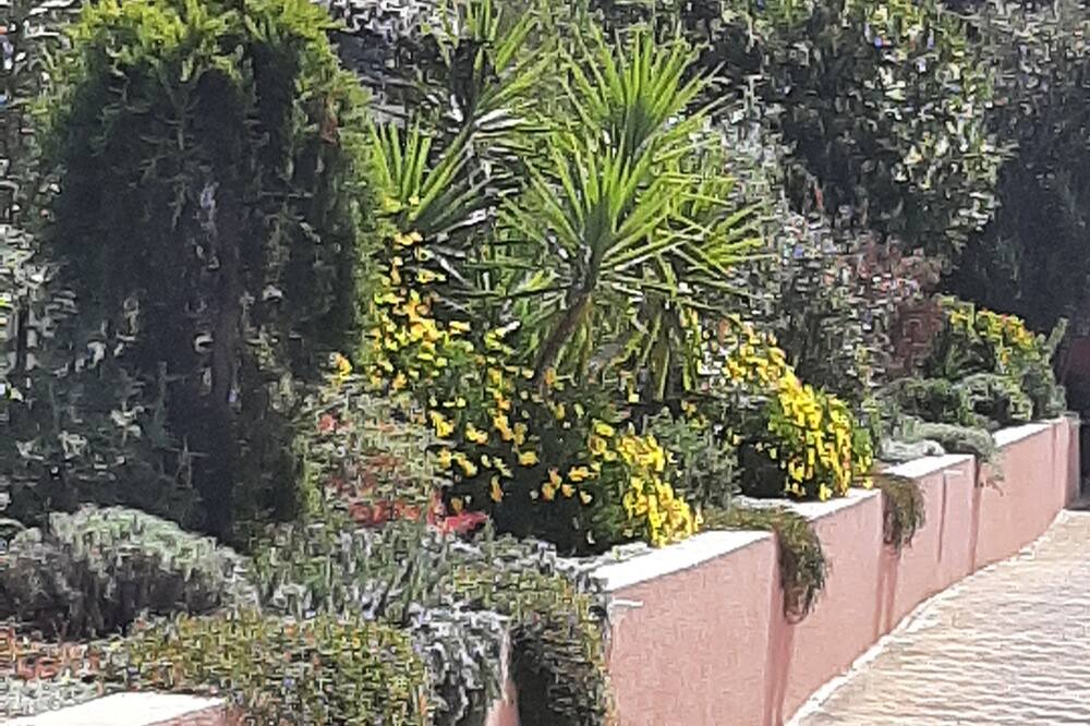 Photo of Outdoor in Palaja