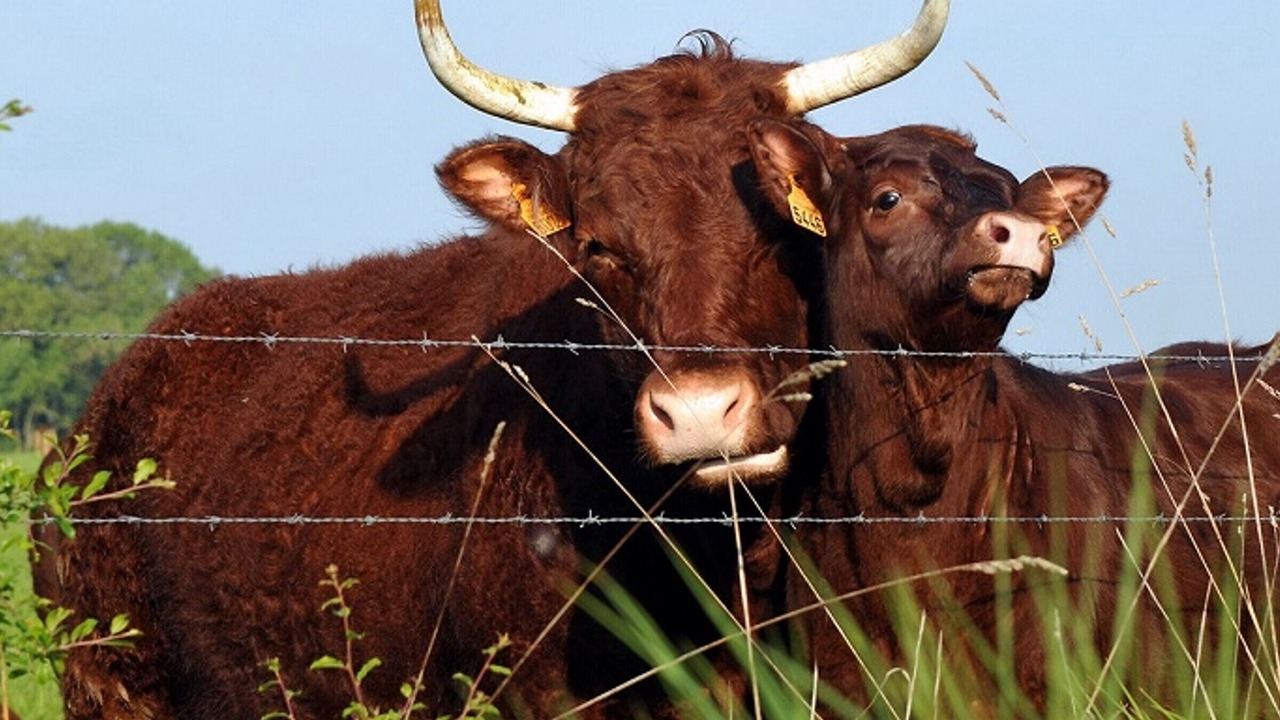 Photo of Others in Chaussy