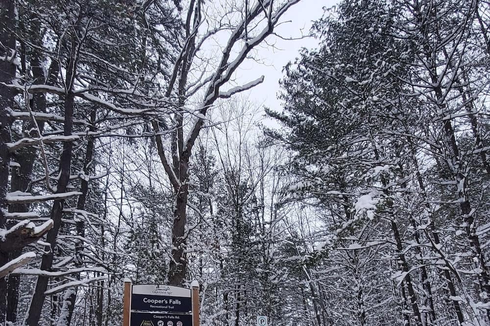 Photo of Others in Washago