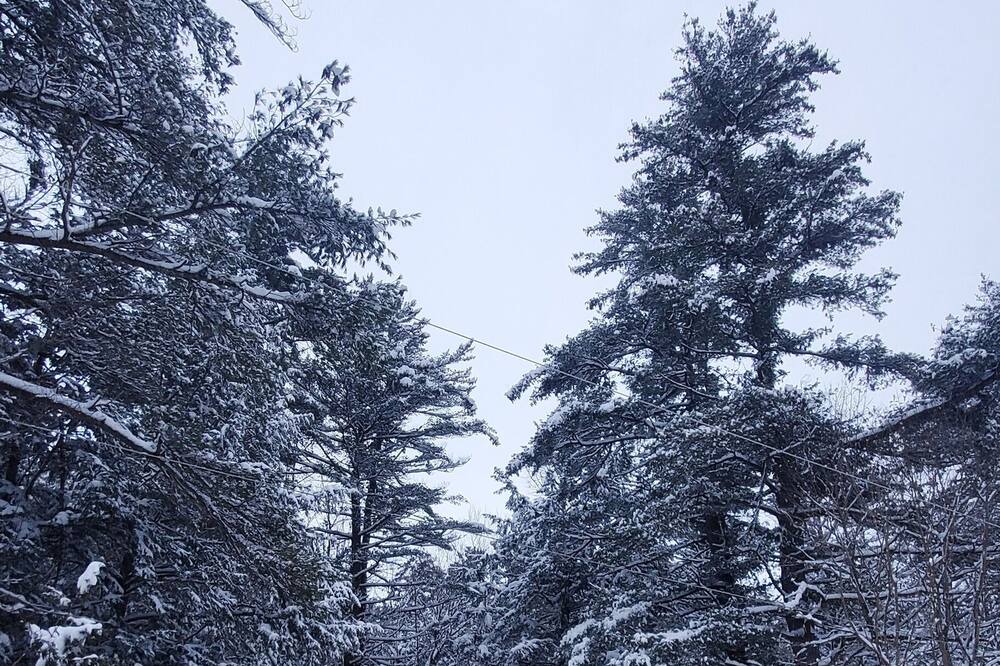 Photo of Outdoor in Washago