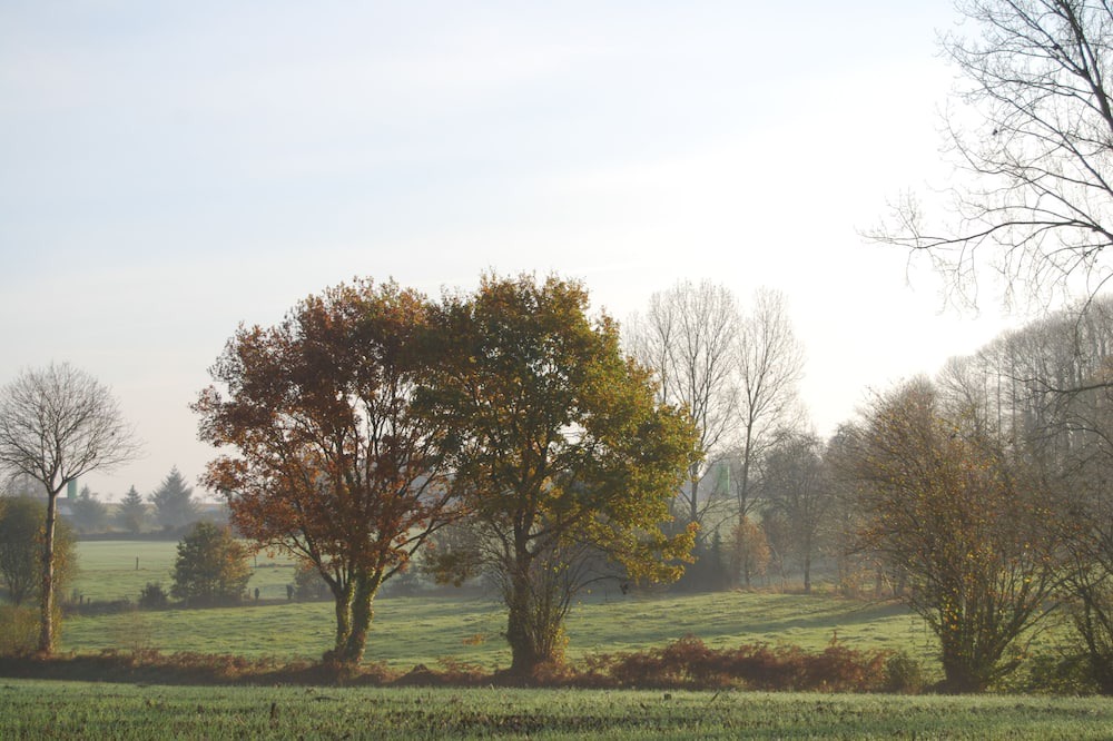 Photo of Others in Saint-Simeon
