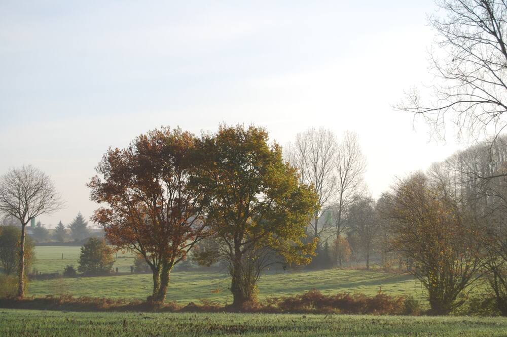 Photo of Others in Saint-Simeon
