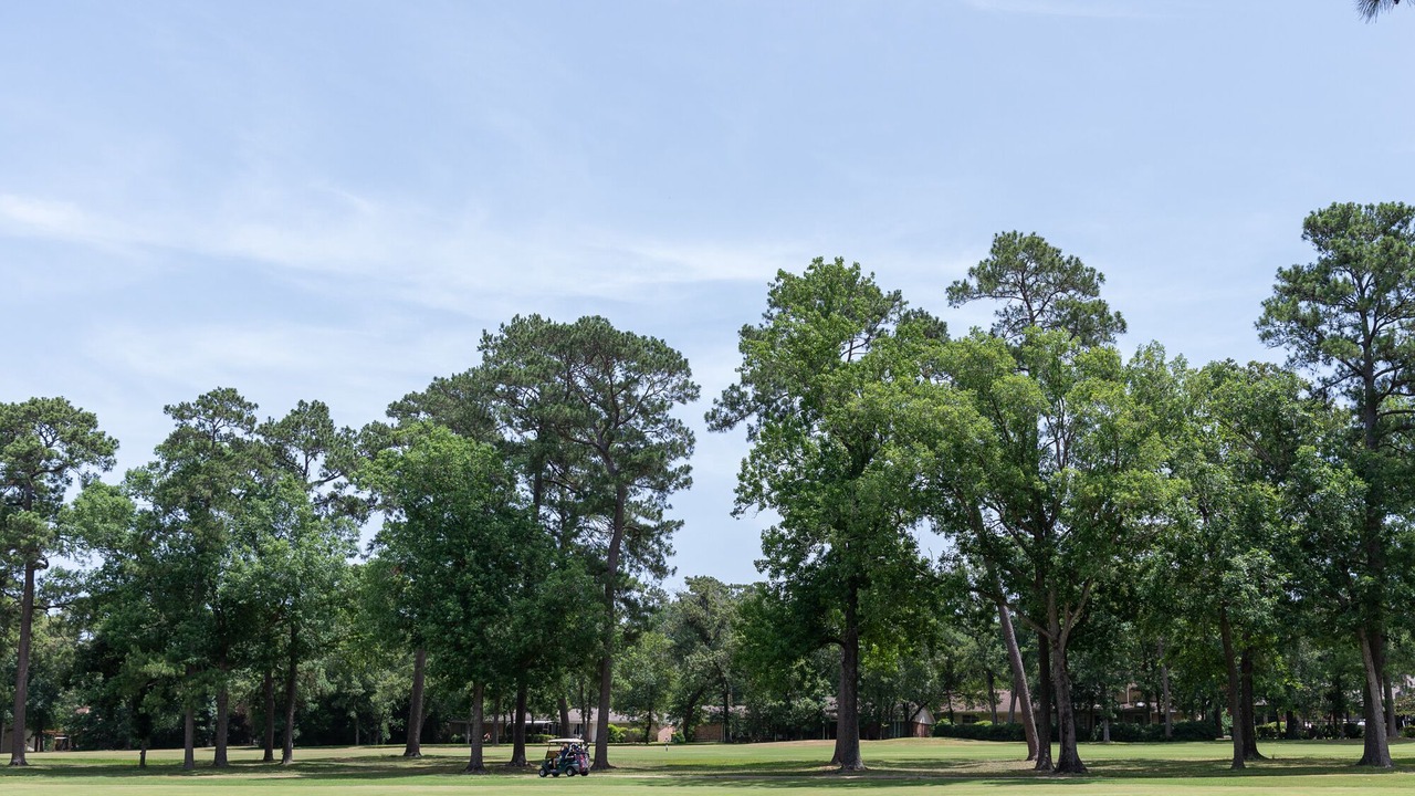 Photo of Others in Panorama Village