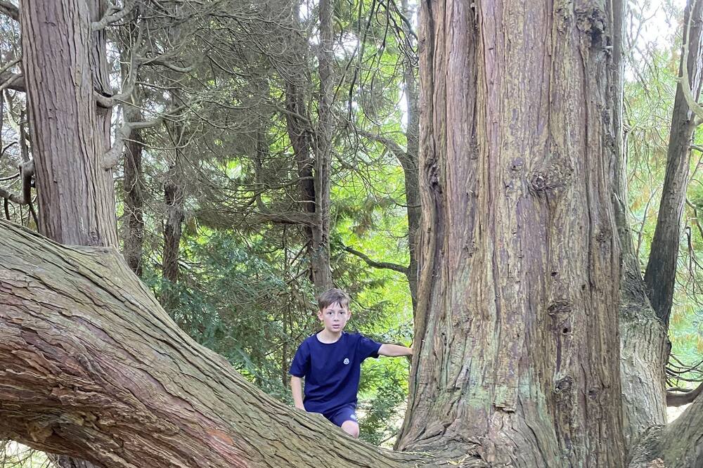 Photo of Outdoor in Crawley Down