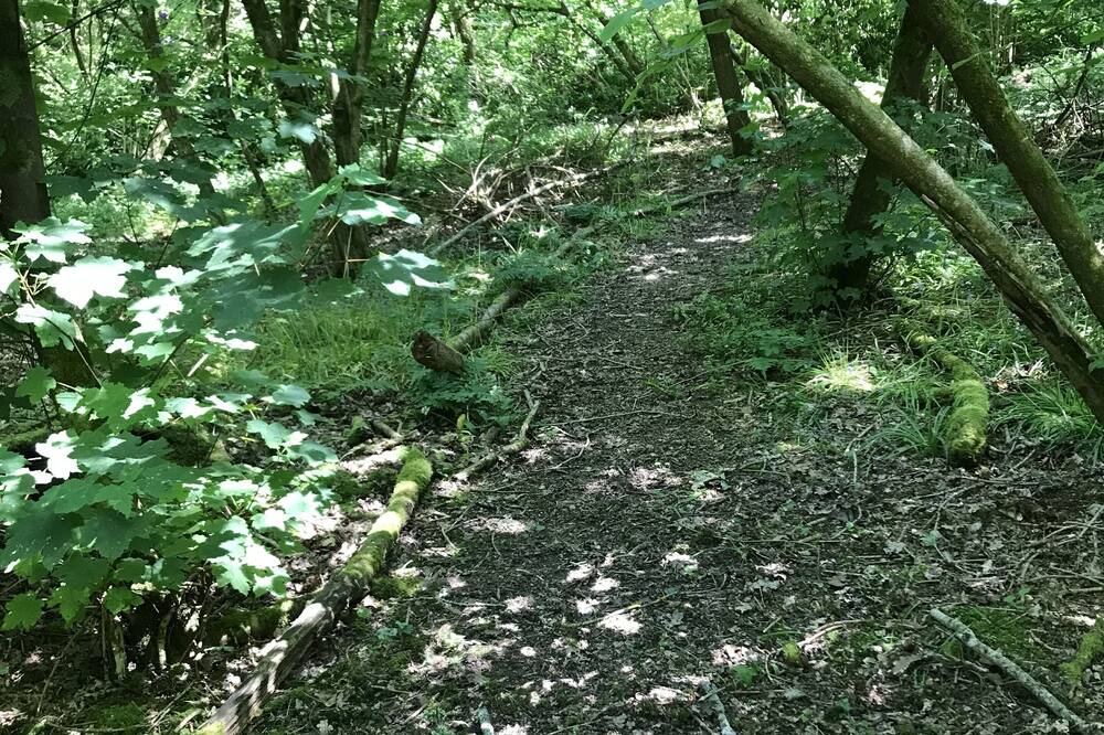 Photo of Others in Crawley Down