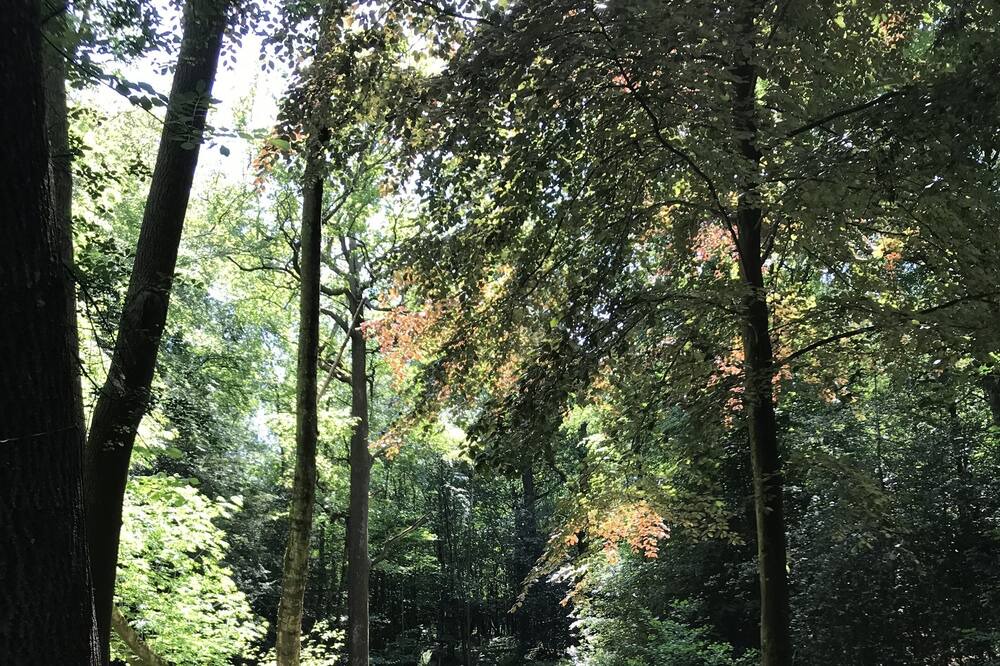 Photo of Others in Crawley Down