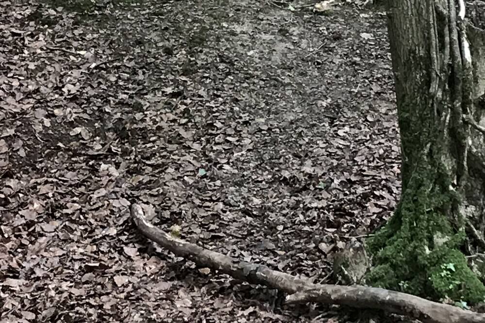 Photo of Outdoor in Crawley Down