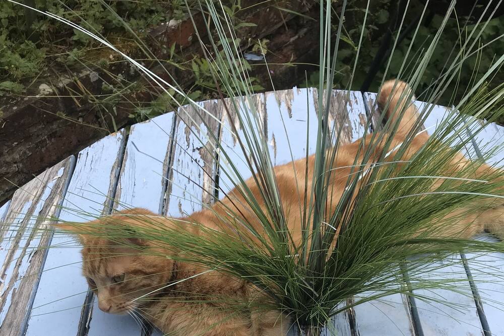 Photo of Outdoor in Crawley Down