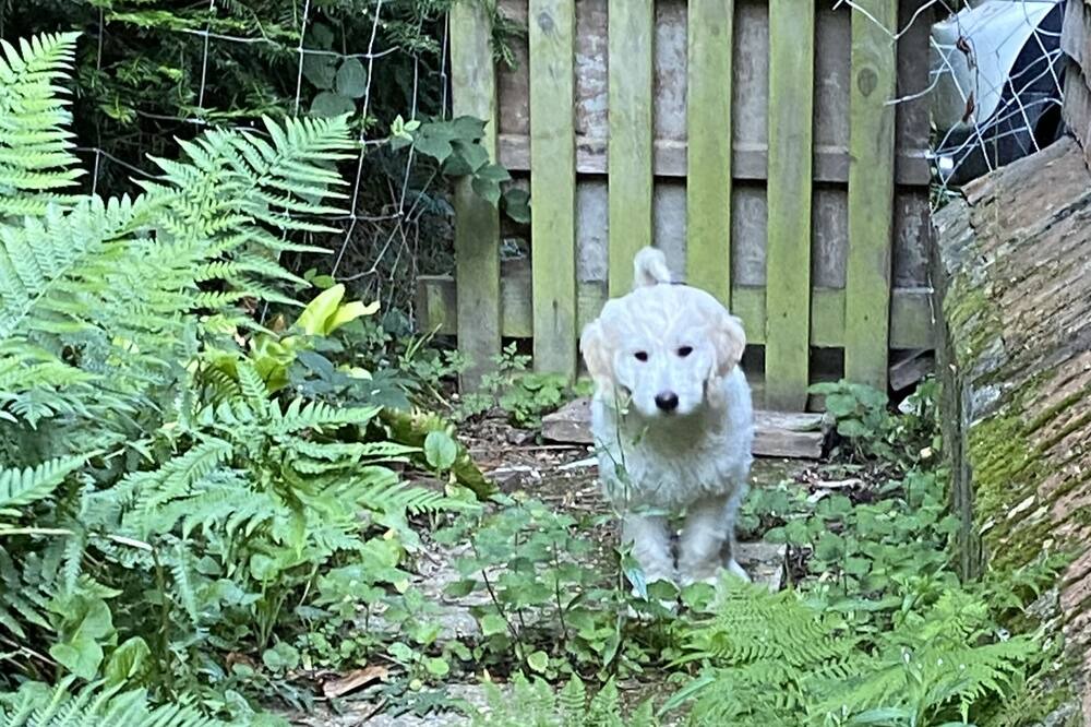 Photo of Outdoor in Crawley Down