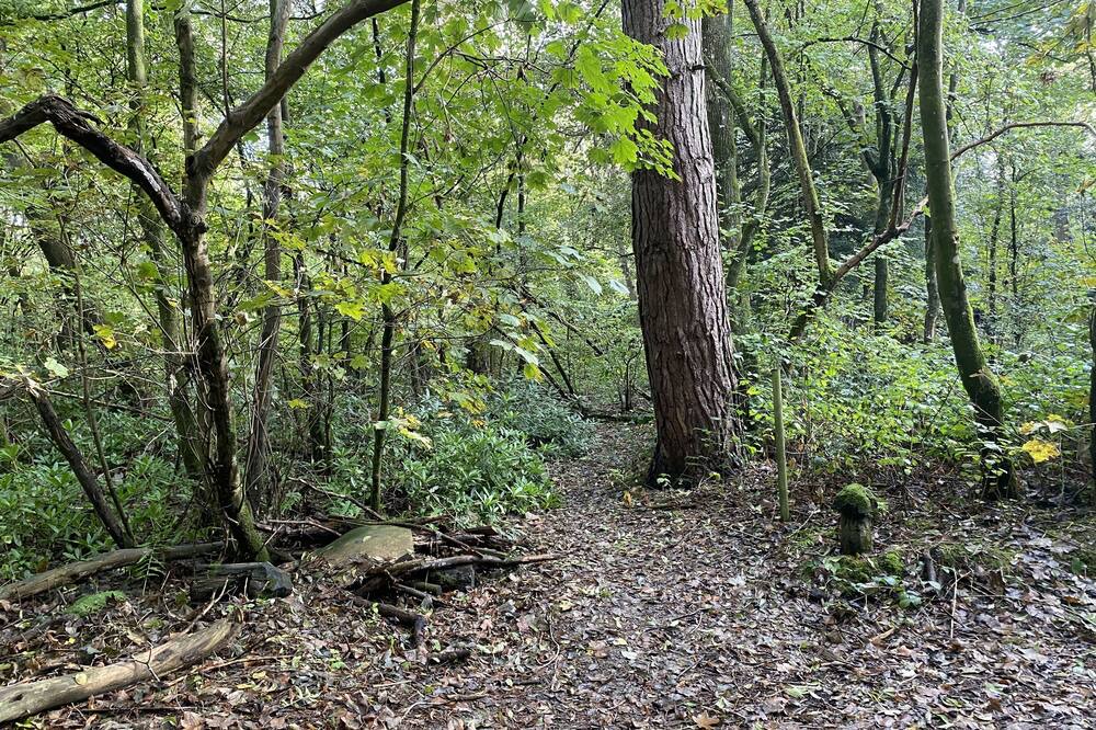 Photo of Outdoor in Crawley Down