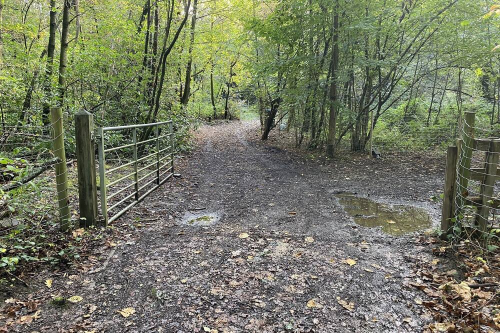 Photo of Outdoor in Crawley Down