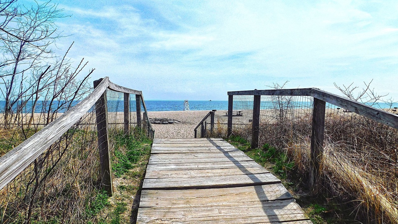 Photo of Others in Old Saybrook