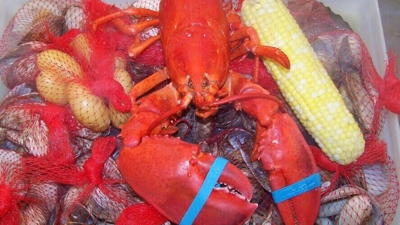 Photo of Others in Old Saybrook