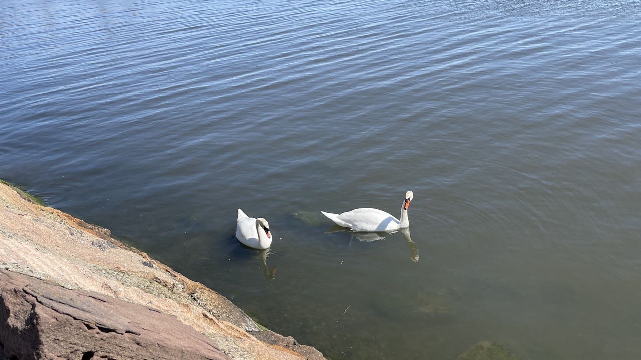Photo of Others in Old Saybrook