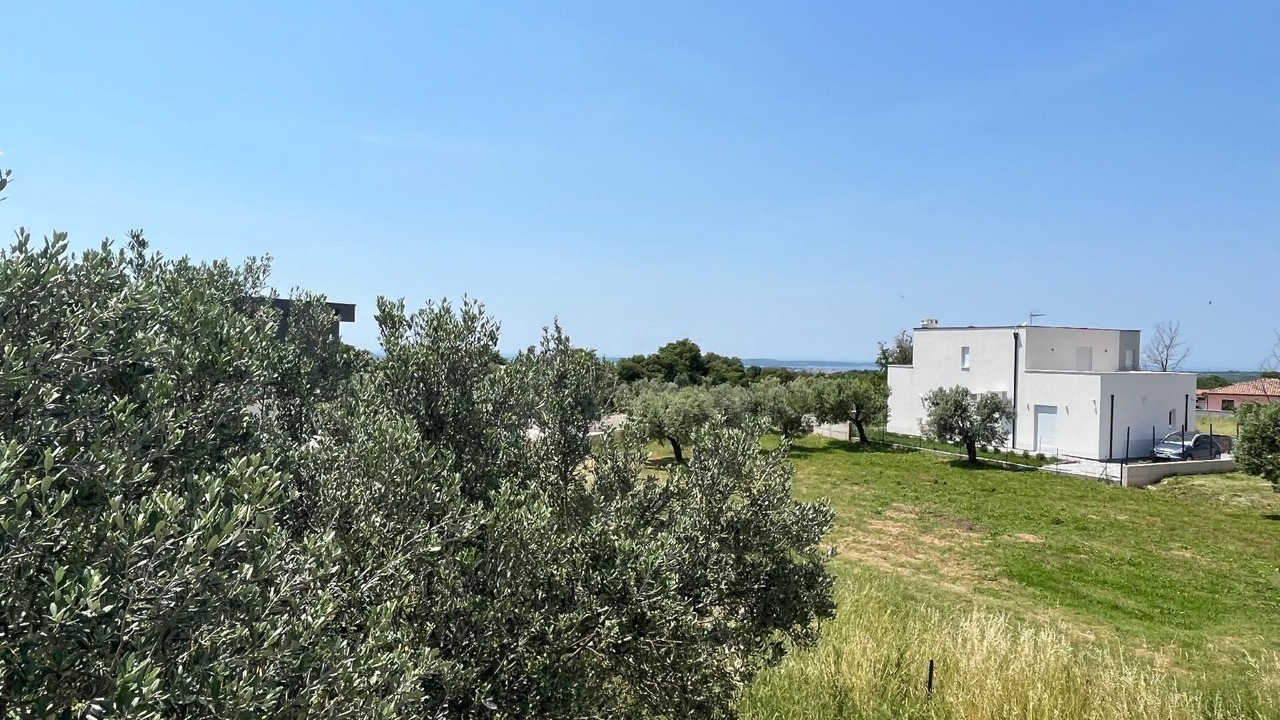 Photo of Outdoor in Galizana
